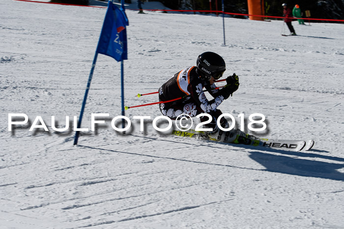 Ziener Cup WF, Finale, Quali + Parallelslalom, 24.03.2018