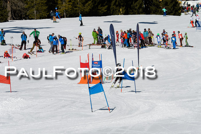 Ziener Cup WF, Finale, Quali + Parallelslalom, 24.03.2018