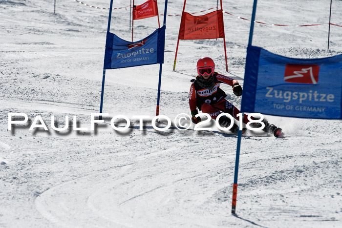 Ziener Cup WF, Finale, Quali + Parallelslalom, 24.03.2018