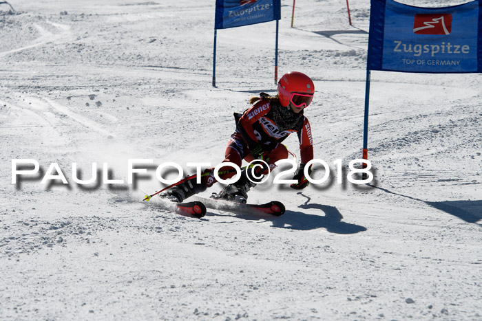 Ziener Cup WF, Finale, Quali + Parallelslalom, 24.03.2018