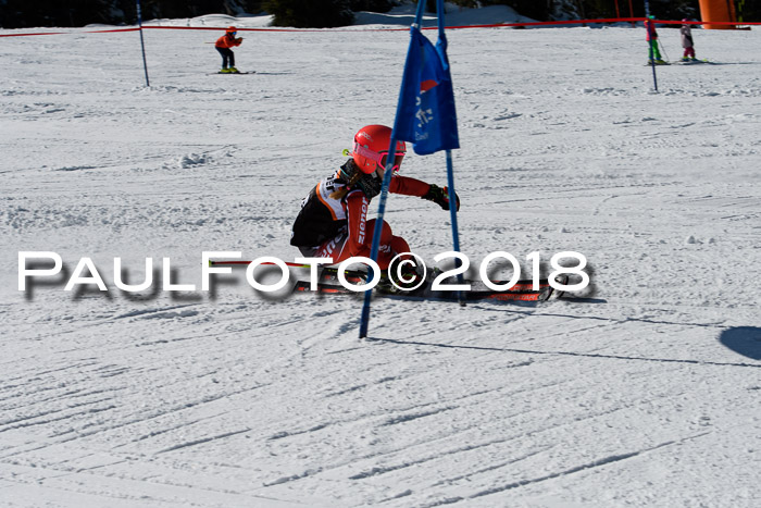 Ziener Cup WF, Finale, Quali + Parallelslalom, 24.03.2018