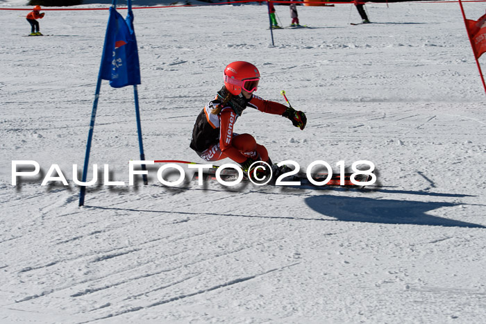Ziener Cup WF, Finale, Quali + Parallelslalom, 24.03.2018