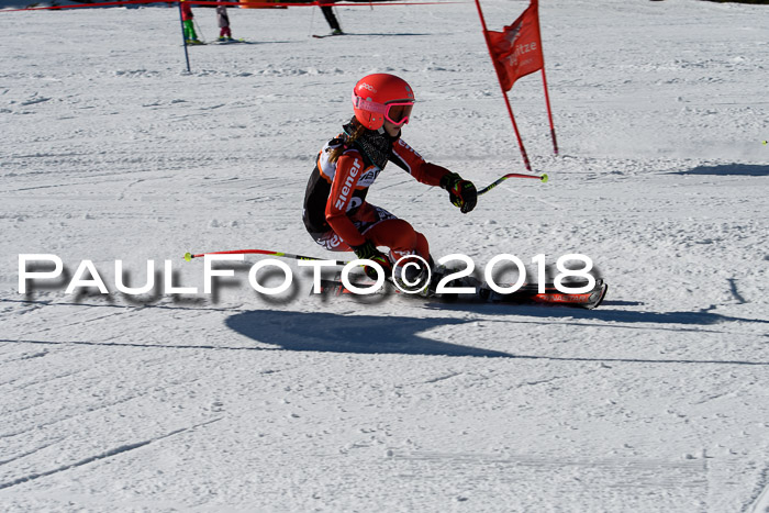 Ziener Cup WF, Finale, Quali + Parallelslalom, 24.03.2018