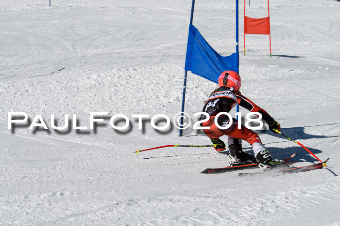 Ziener Cup WF, Finale, Quali + Parallelslalom, 24.03.2018