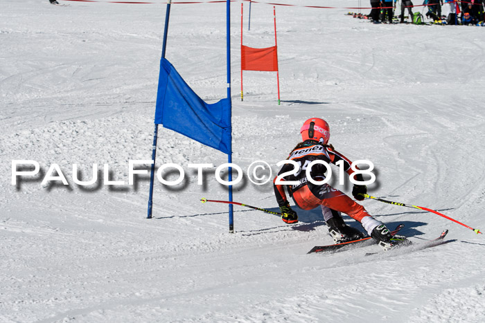 Ziener Cup WF, Finale, Quali + Parallelslalom, 24.03.2018