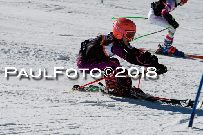 Ziener Cup WF, Finale, Quali + Parallelslalom, 24.03.2018