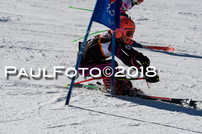 Ziener Cup WF, Finale, Quali + Parallelslalom, 24.03.2018