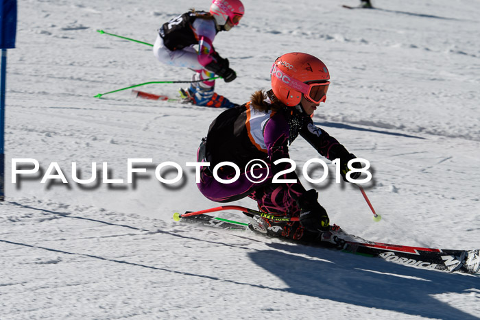 Ziener Cup WF, Finale, Quali + Parallelslalom, 24.03.2018