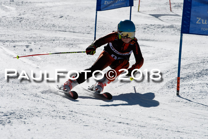 Ziener Cup WF, Finale, Quali + Parallelslalom, 24.03.2018