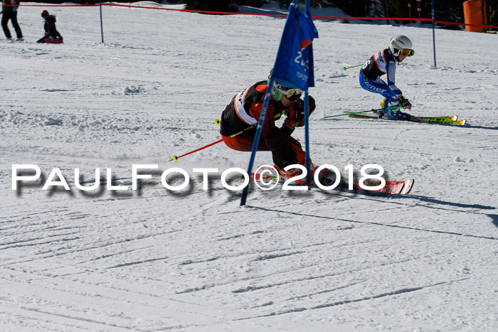 Ziener Cup WF, Finale, Quali + Parallelslalom, 24.03.2018