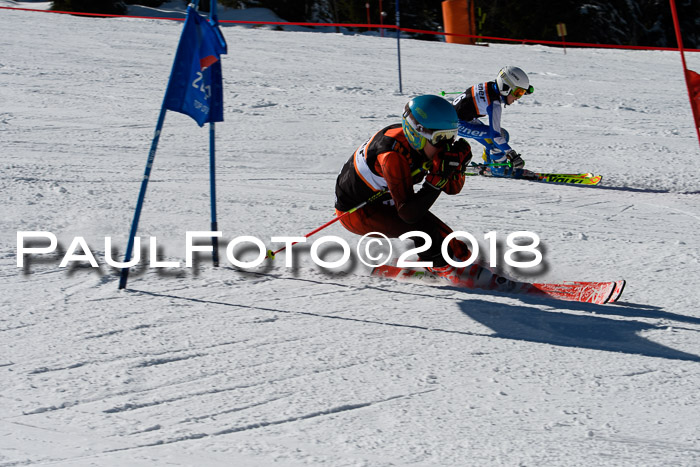 Ziener Cup WF, Finale, Quali + Parallelslalom, 24.03.2018