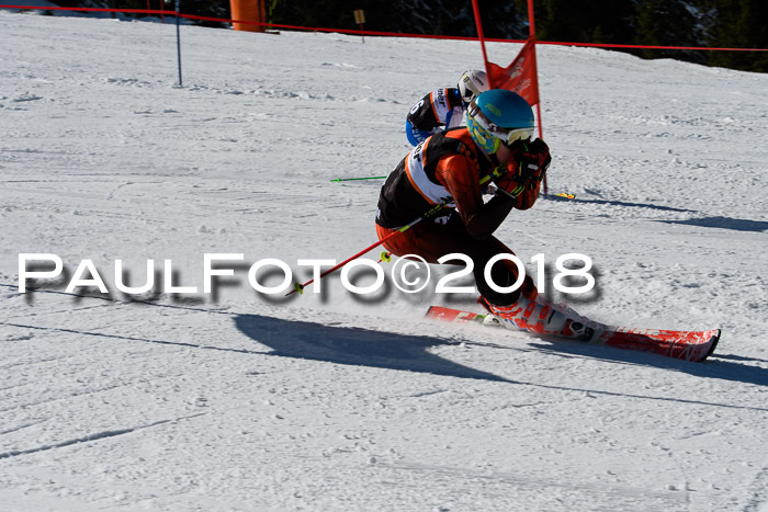 Ziener Cup WF, Finale, Quali + Parallelslalom, 24.03.2018