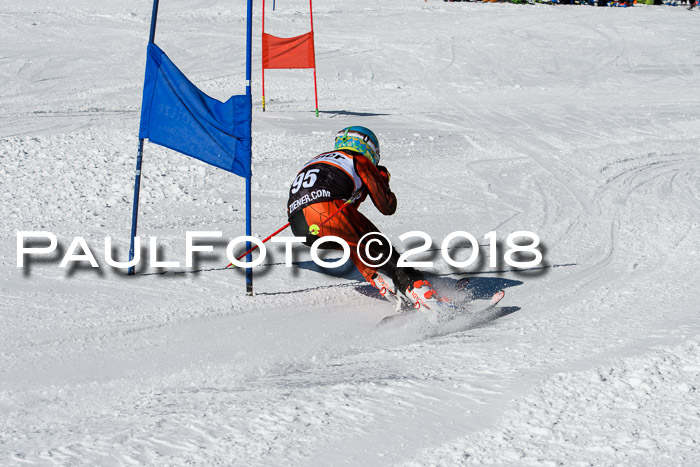 Ziener Cup WF, Finale, Quali + Parallelslalom, 24.03.2018