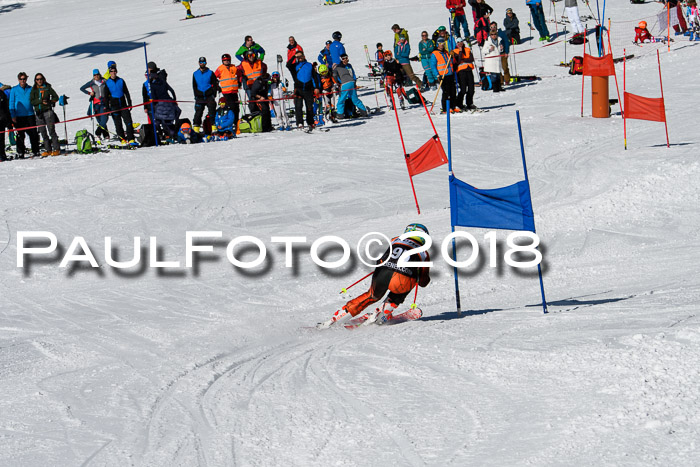 Ziener Cup WF, Finale, Quali + Parallelslalom, 24.03.2018