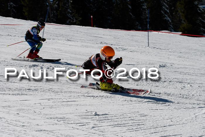 Ziener Cup WF, Finale, Quali + Parallelslalom, 24.03.2018