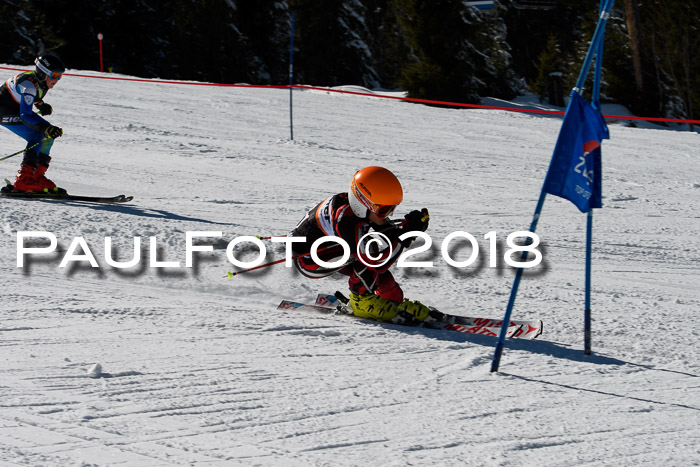 Ziener Cup WF, Finale, Quali + Parallelslalom, 24.03.2018