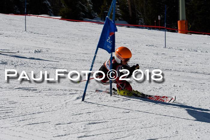 Ziener Cup WF, Finale, Quali + Parallelslalom, 24.03.2018