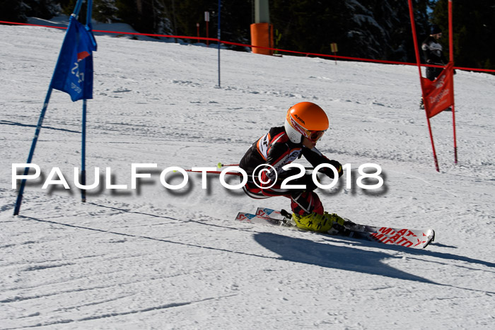Ziener Cup WF, Finale, Quali + Parallelslalom, 24.03.2018