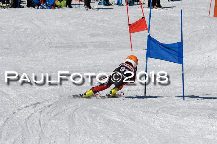 Ziener Cup WF, Finale, Quali + Parallelslalom, 24.03.2018