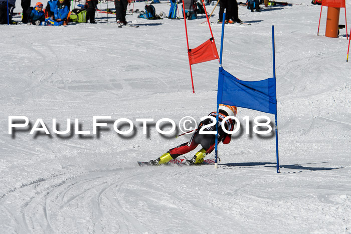 Ziener Cup WF, Finale, Quali + Parallelslalom, 24.03.2018