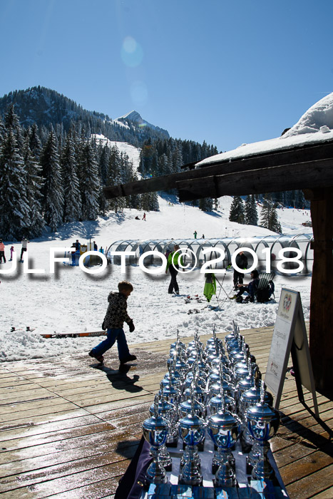 Ziener Cup WF, Finale, Quali + Parallelslalom, 24.03.2018