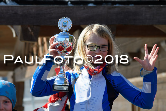 Ziener Cup WF, Finale, Quali + Parallelslalom, 24.03.2018