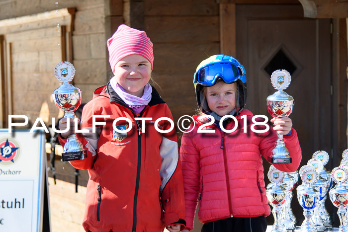 Ziener Cup WF, Finale, Quali + Parallelslalom, 24.03.2018