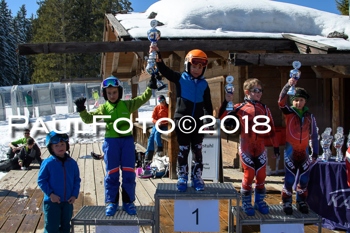 Ziener Cup WF, Finale, Quali + Parallelslalom, 24.03.2018