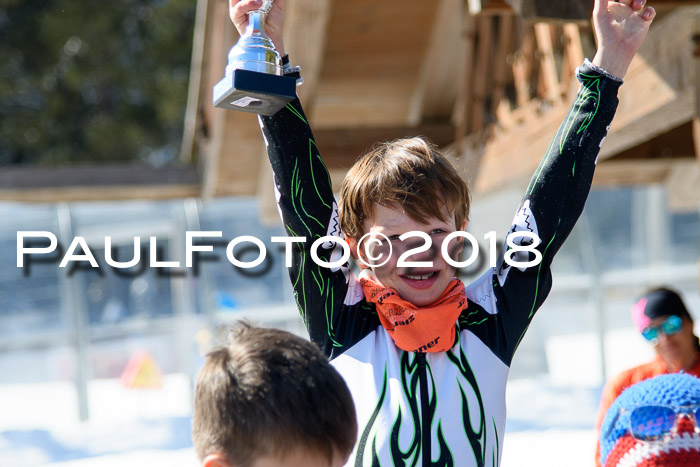 Ziener Cup WF, Finale, Quali + Parallelslalom, 24.03.2018