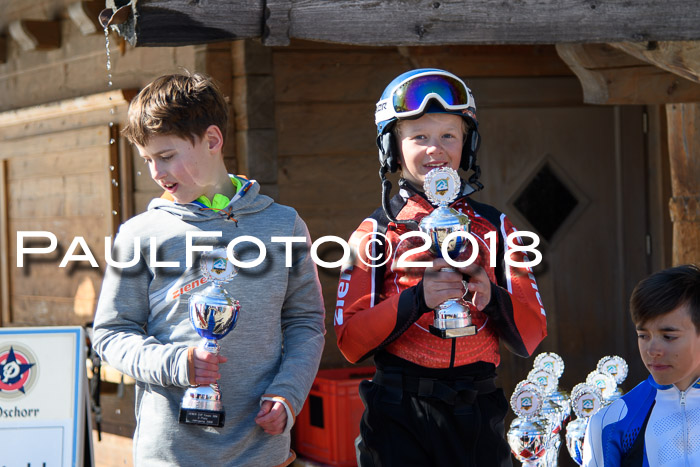 Ziener Cup WF, Finale, Quali + Parallelslalom, 24.03.2018
