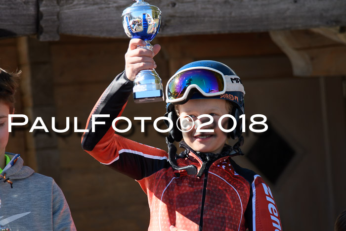 Ziener Cup WF, Finale, Quali + Parallelslalom, 24.03.2018