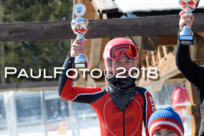 Ziener Cup WF, Finale, Quali + Parallelslalom, 24.03.2018