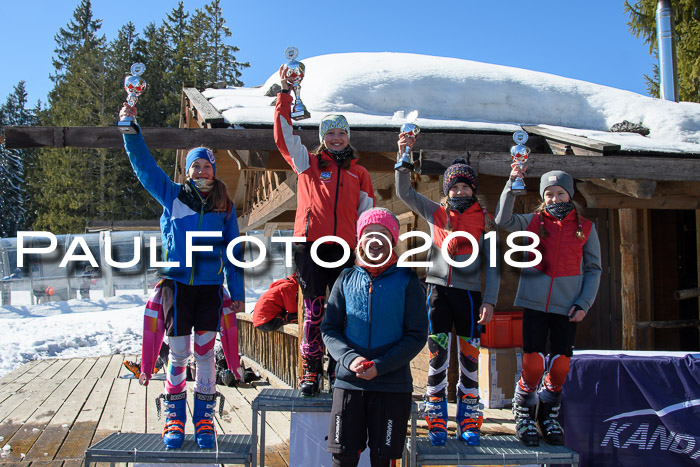 Ziener Cup WF, Finale, Quali + Parallelslalom, 24.03.2018