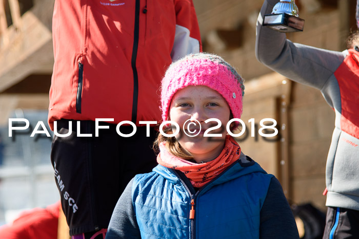 Ziener Cup WF, Finale, Quali + Parallelslalom, 24.03.2018