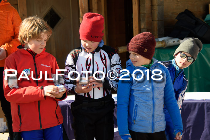 Ziener Cup WF, Finale, Quali + Parallelslalom, 24.03.2018