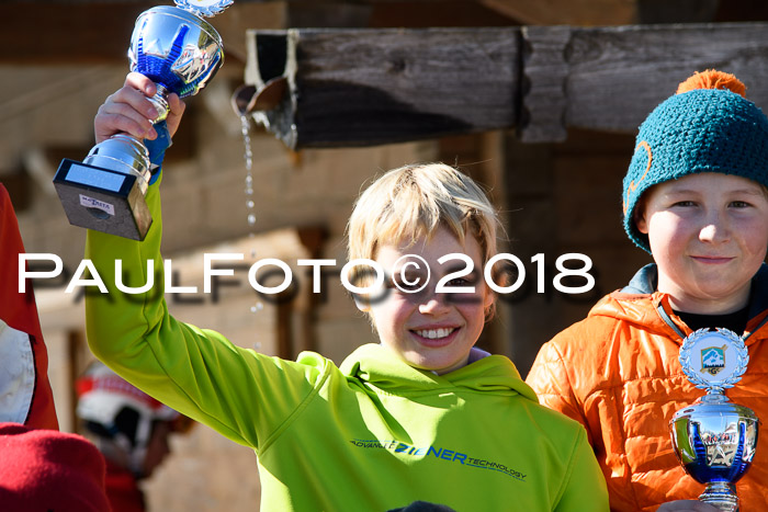 Ziener Cup WF, Finale, Quali + Parallelslalom, 24.03.2018