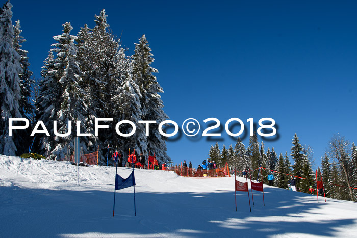 Ziener Cup WF, Finale, Quali + Parallelslalom, 24.03.2018