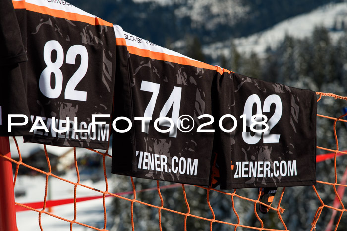 Ziener Cup WF, Finale, Quali + Parallelslalom, 24.03.2018