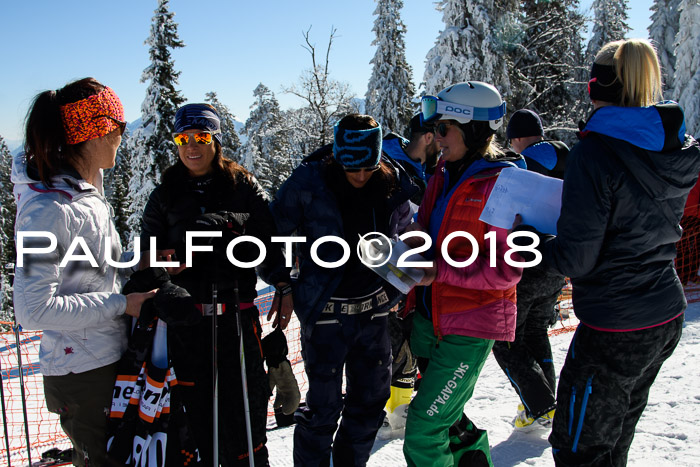 Ziener Cup WF, Finale, Quali + Parallelslalom, 24.03.2018
