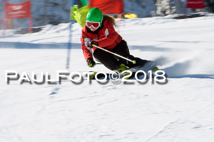 Ziener Cup WF, Finale, Quali + Parallelslalom, 24.03.2018