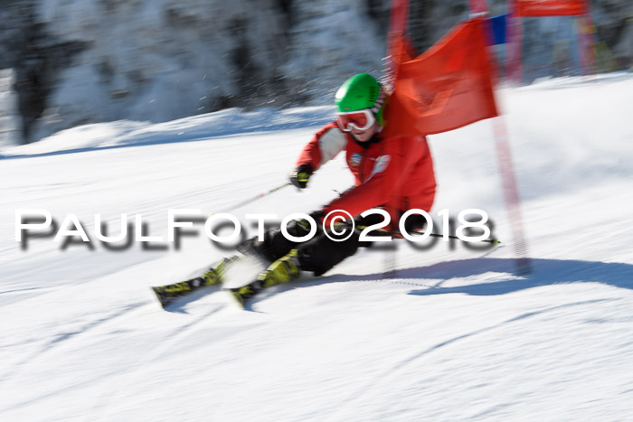 Ziener Cup WF, Finale, Quali + Parallelslalom, 24.03.2018
