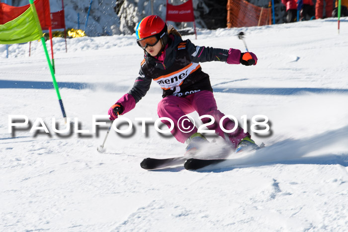 Ziener Cup WF, Finale, Quali + Parallelslalom, 24.03.2018