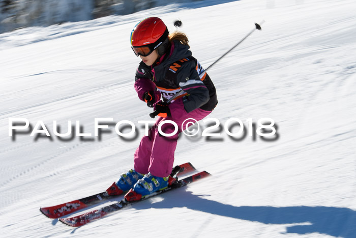 Ziener Cup WF, Finale, Quali + Parallelslalom, 24.03.2018
