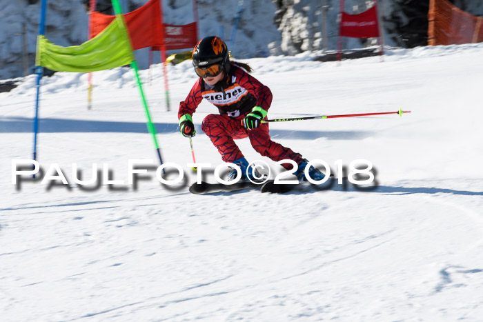 Ziener Cup WF, Finale, Quali + Parallelslalom, 24.03.2018