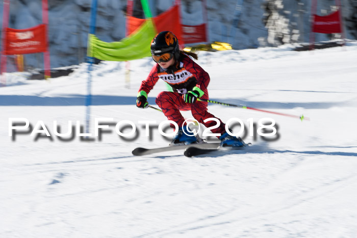 Ziener Cup WF, Finale, Quali + Parallelslalom, 24.03.2018