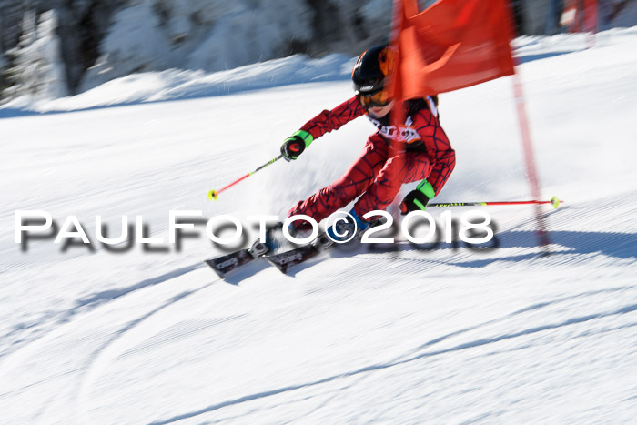 Ziener Cup WF, Finale, Quali + Parallelslalom, 24.03.2018