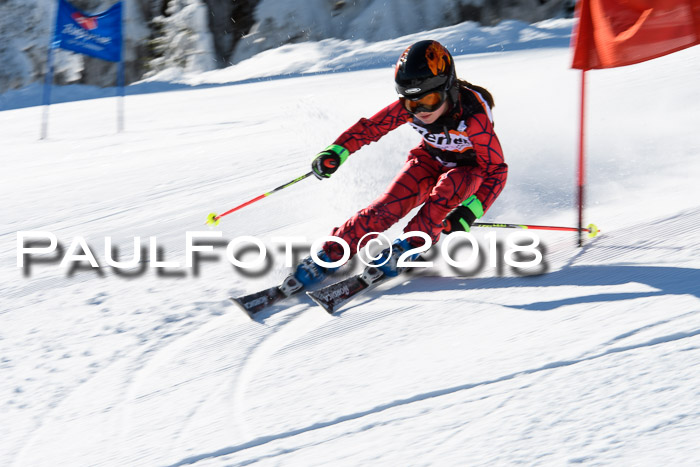 Ziener Cup WF, Finale, Quali + Parallelslalom, 24.03.2018