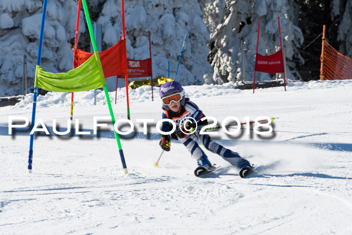 Ziener Cup WF, Finale, Quali + Parallelslalom, 24.03.2018