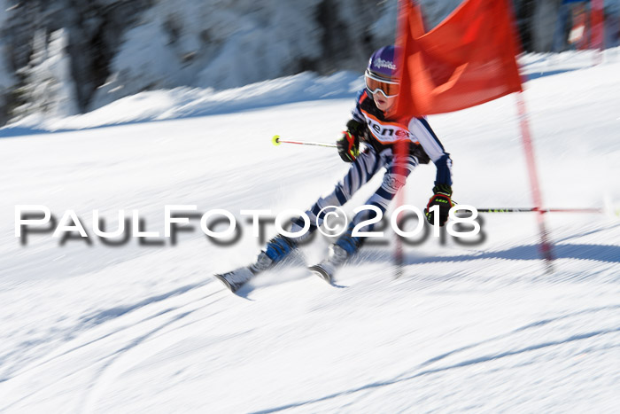 Ziener Cup WF, Finale, Quali + Parallelslalom, 24.03.2018