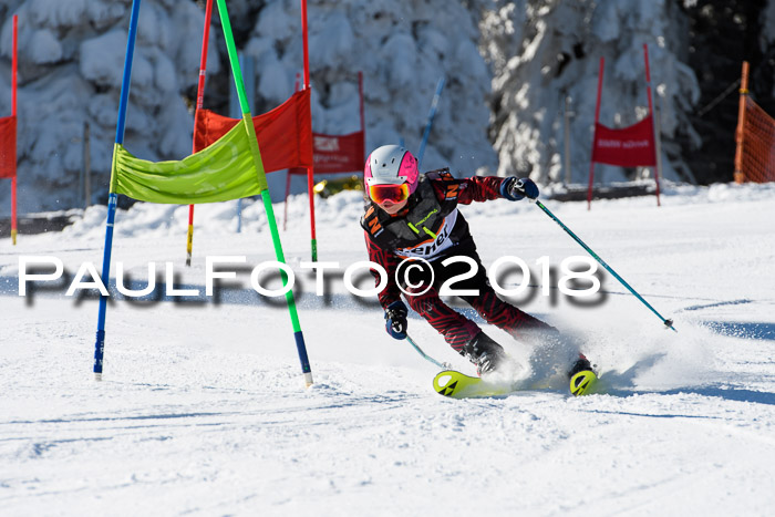 Ziener Cup WF, Finale, Quali + Parallelslalom, 24.03.2018